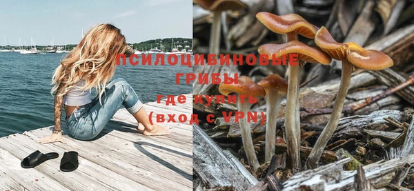 ешки Кукмор