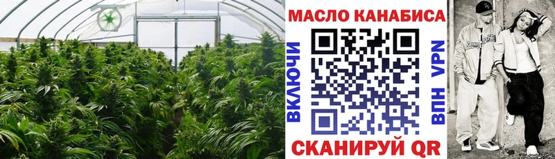 Купить где  Калачинск  ТГК Wax 