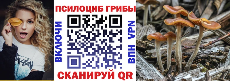 Псилоцибиновые грибы MAGIC MUSHROOMS  Купить где  Калачинск 